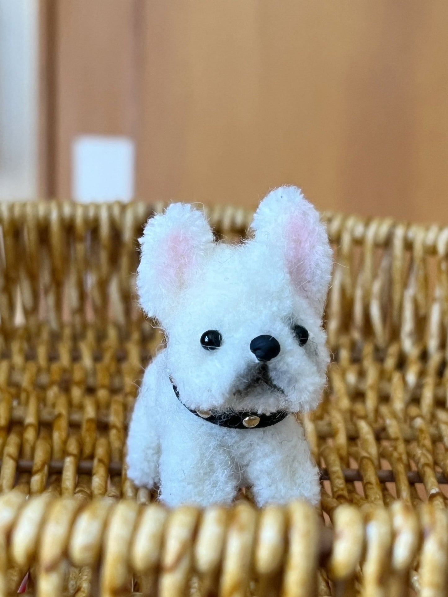 Custom Pet Felt Twister | Realistic Felted Pet - WeDesignWool