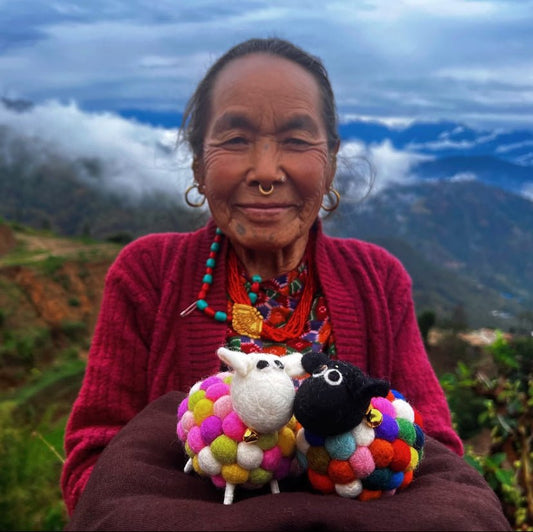 Shaun the Rainbow Sheep - WeDesignWool